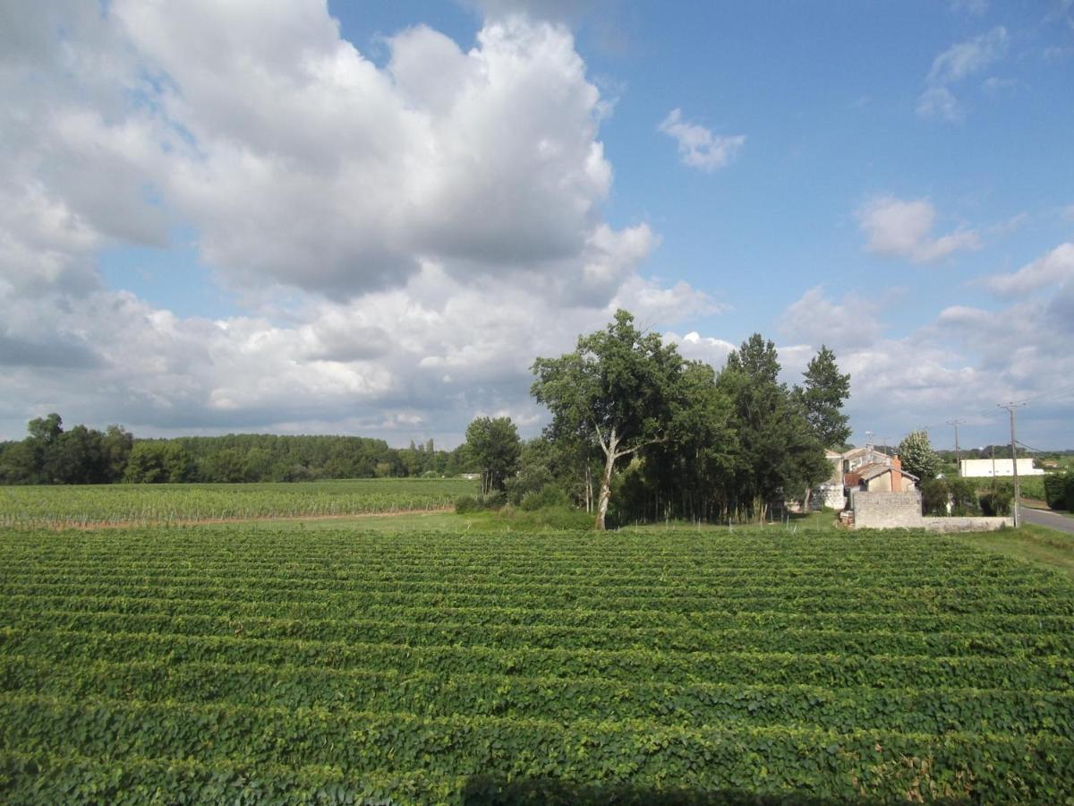 Scott Vacances Chambres D'Hotes Gondeville Jarnac Exterior photo